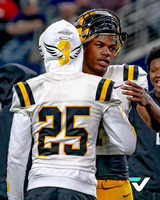 Fort Bend Marshall vs Aledo, 5A-D2 State Championship