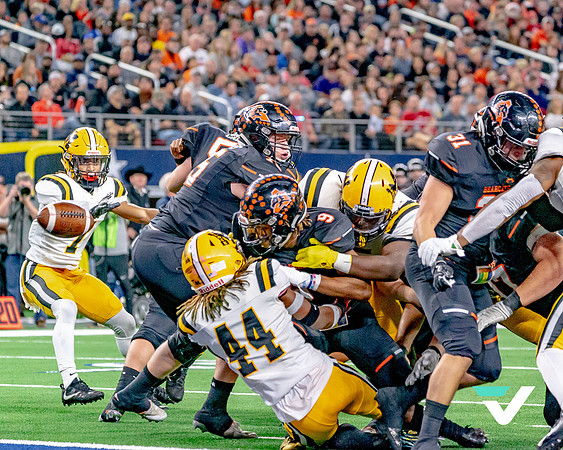 FBMHS_ALEDO_champs-12