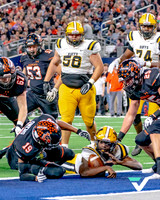 FBMHS_ALEDO_champs-19