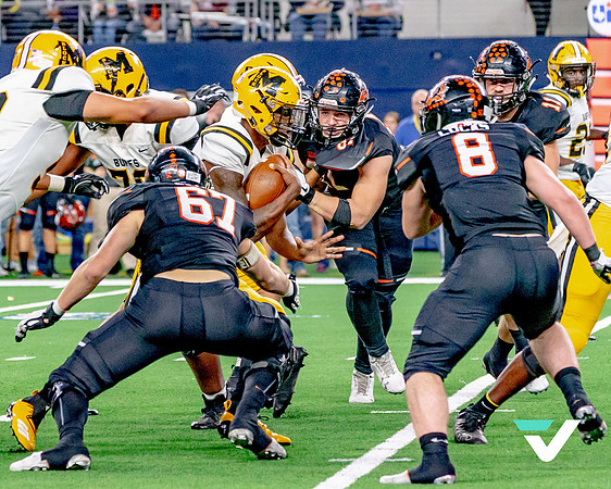 FBMHS_ALEDO_champs-31