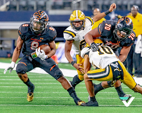 FBMHS_ALEDO_champs-32
