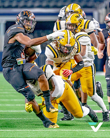 FBMHS_ALEDO_champs-33