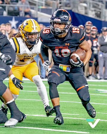 FBMHS_ALEDO_champs-34