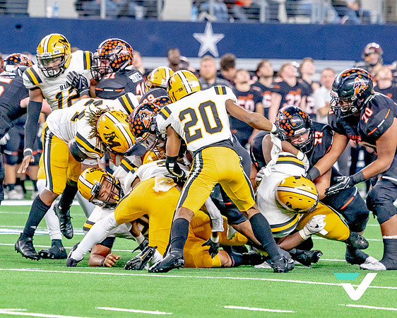FBMHS_ALEDO_champs-38