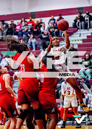 ahs_schs-12