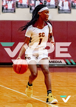 ahs_schs-10