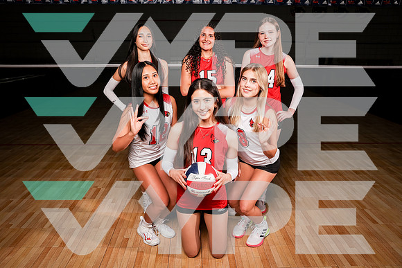 BELLAIRE_VB_0F9A7949-(BROWN)