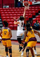 beaumont_pearland-10