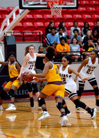 beaumont_pearland-12
