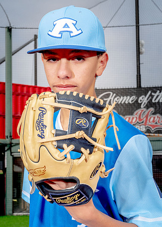 Aldine-40