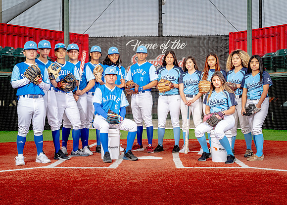 Aldine-41