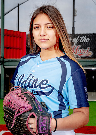 Aldine-43