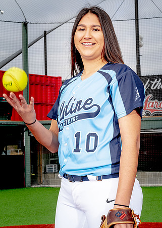 Aldine-48