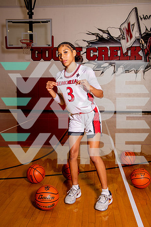 GCM_GBB_-(BROWN)-11