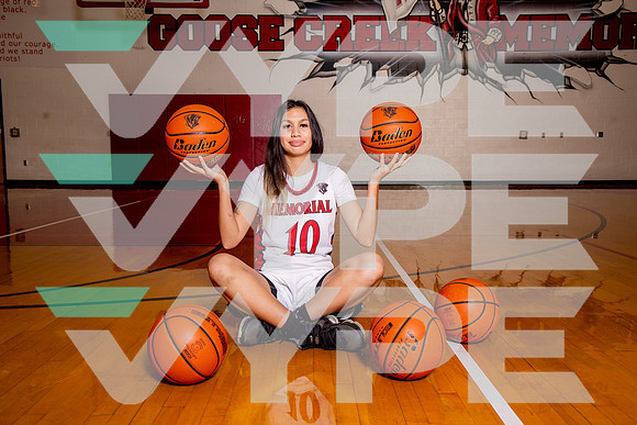 GCM_GBB_-(BROWN)-12