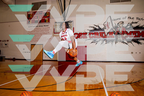 GCM_GBB_-(BROWN)-19