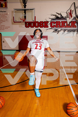 GCM_GBB_-(BROWN)-21