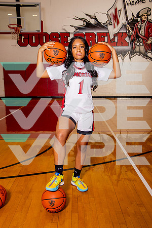 GCM_GBB_-(BROWN)-25