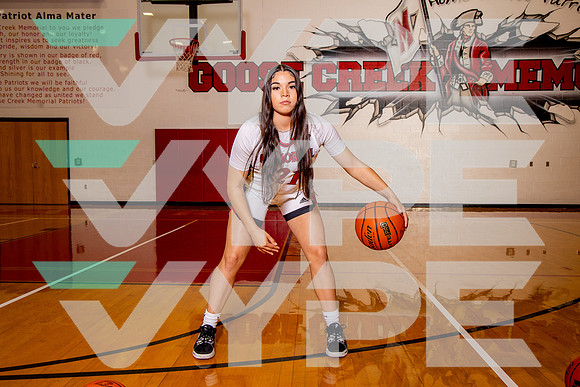 GCM_GBB_-(BROWN)-26