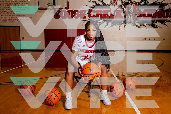GCM_GBB_-(BROWN)-16