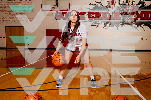 GCM_GBB_-(BROWN)-27