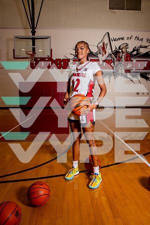GCM_GBB_-(BROWN)-33