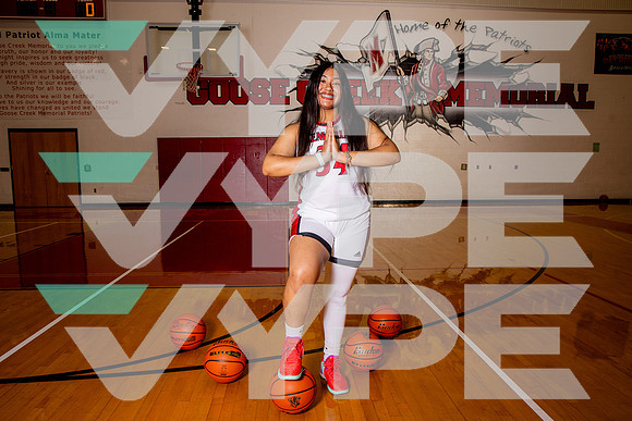 GCM_GBB_-(BROWN)-36