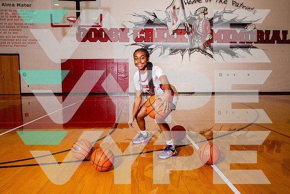 GCM_GBB_-(BROWN)-8