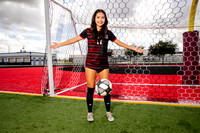 GCM_GSOC_-(BROWN)-10