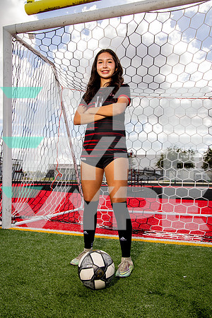 GCM_GSOC_-(BROWN)-11