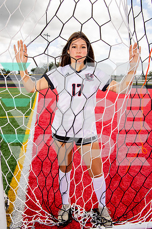 GCM_GSOC_-(BROWN)-17