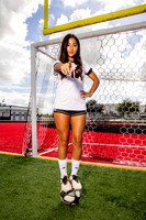 GCM_GSOC_-(BROWN)-12