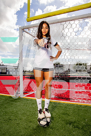 GCM_GSOC_-(BROWN)-12