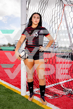 GCM_GSOC_-(BROWN)-20