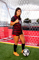 GCM_GSOC_-(BROWN)-21