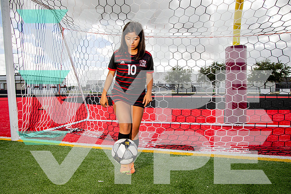 GCM_GSOC_-(BROWN)-23