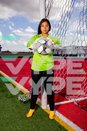 GCM_GSOC_-(BROWN)-7