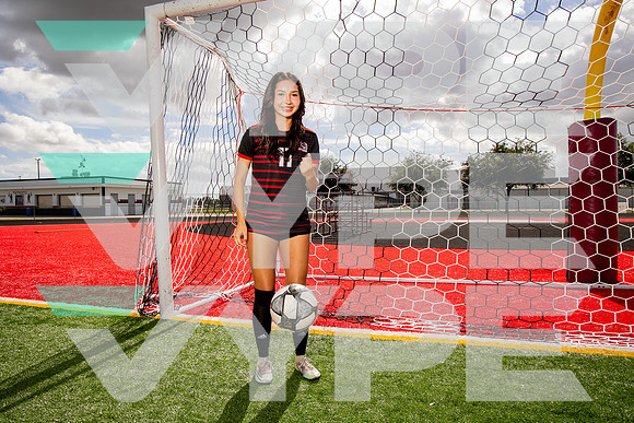 GCM_GSOC_-(BROWN)-9