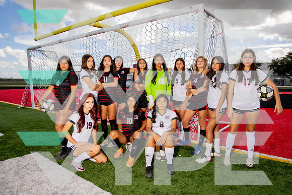 GCM_GSOC_-(BROWN)