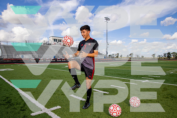 GCM_SOC_-(BROWN)-6
