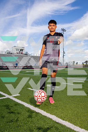 GCM_SOC_-(BROWN)-19