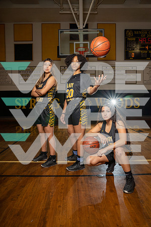 SPRING_WOODS_GBB_TEAM__85-(HARTOJO)