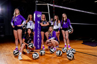 WILLIS_VB-(COLLIER)-2