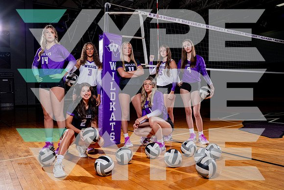 WILLIS_VB-(COLLIER)-2