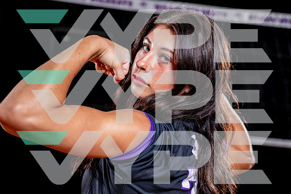 WILLIS_VB-(COLLIER)-42