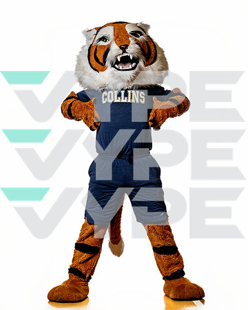 KLEIN_COLLINS_CHEER_SPRING-(COLLIER)-00086