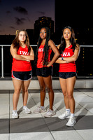 IWA_TF_-(BCC)-4