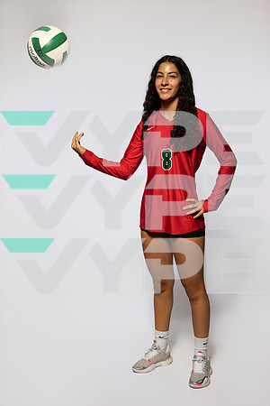 0F9A0138-WOODLANDS_VOLLEYBALL-(BROWN)