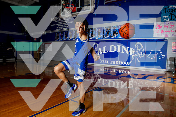 ALDINE_BB-(BROWN)-469