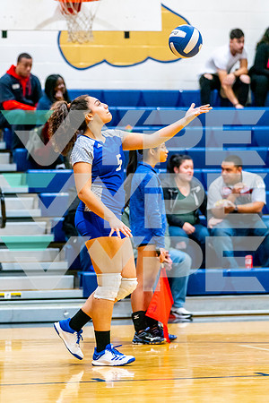 10-ALDINE_NIMITZ_VB__Stephanie Torres-(BCC)